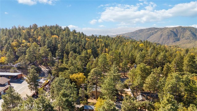 Detail Gallery Image 20 of 21 For 24837 Logan Creek Rd, Idyllwild,  CA 92549 - 2 Beds | 1/1 Baths