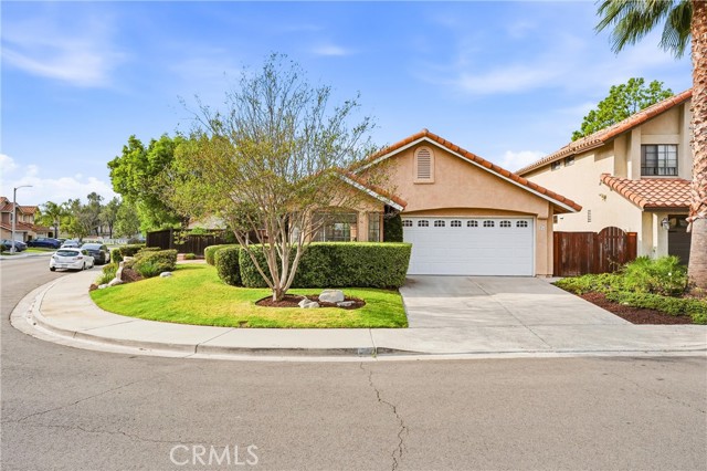 Front Image Thumbnail for CROC26058116