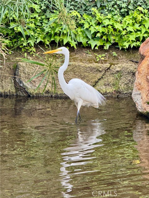 Detail Gallery Image 50 of 62 For 4140 Workman Mill #253,  Whittier,  CA 90601 - 2 Beds | 1/1 Baths