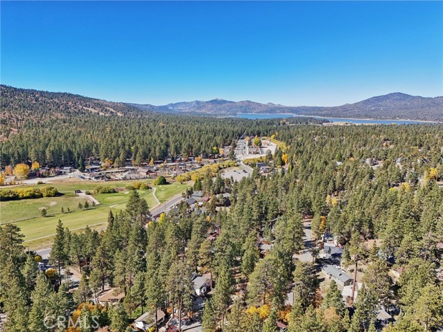 Detail Gallery Image 38 of 40 For 760 Tehama Dr, Big Bear Lake,  CA 92315 - 4 Beds | 3/1 Baths