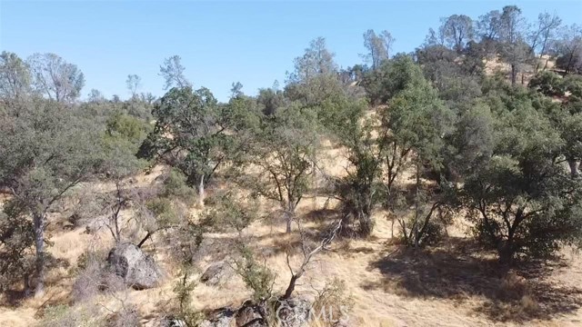 0 Deep Forest Court, Coarsegold, California 93614, ,Land,For Sale,0 Deep Forest Court,CRFR23182041