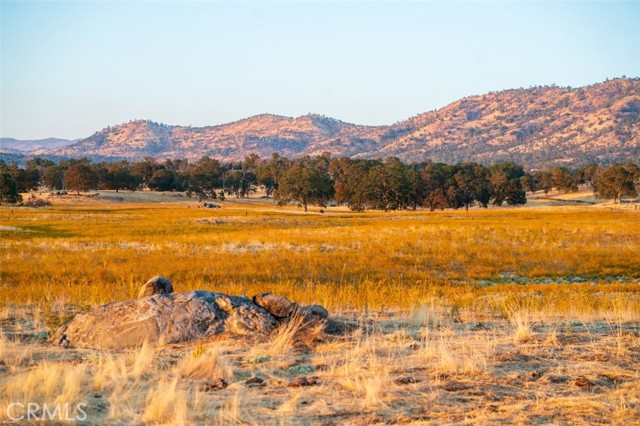 Detail Gallery Image 23 of 39 For 2553 Old Highway, Catheys Valley,  CA 95306 - – Beds | – Baths