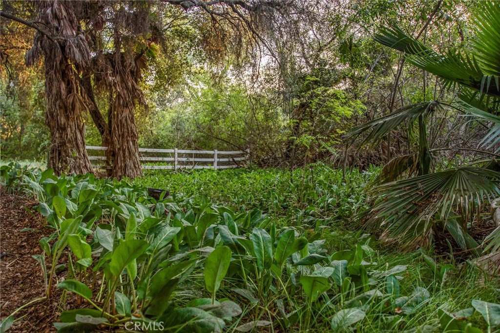 https://media.crmls.org/medias/a13c6d50-86e2-453a-8c8a-4b656e4b07d4.jpg?preset=X-Large