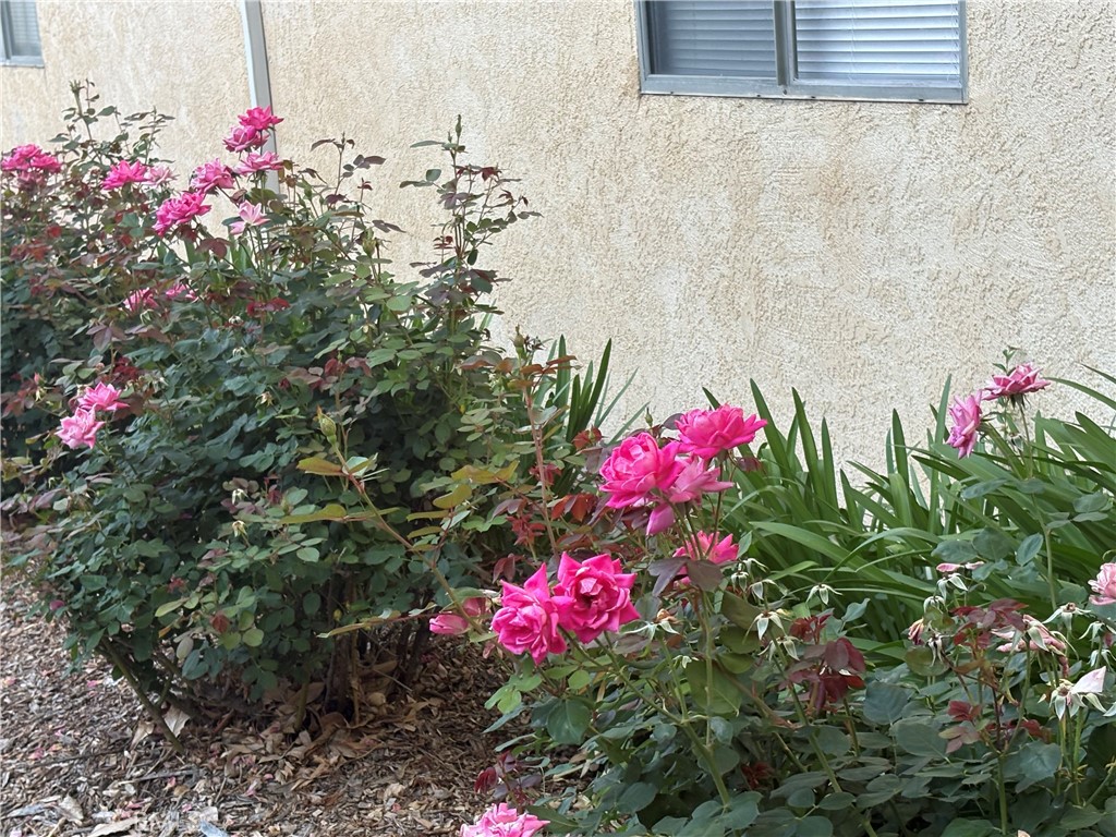 https://media.crmls.org/medias/a14752d3-c774-412d-a25e-b1c0d4e610e9.jpg?preset=X-Large