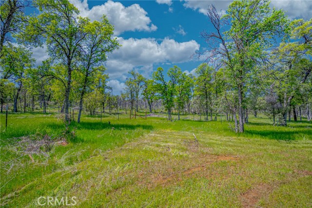 Detail Gallery Image 39 of 54 For 5857 Schilling, Coulterville,  CA 95311 - 3 Beds | 2 Baths