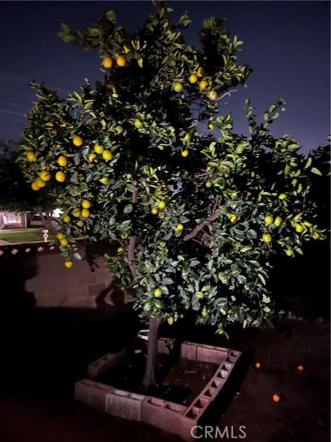 Detail Gallery Image 16 of 17 For 250 N Linden Ave #148,  Rialto,  CA 92376 - 3 Beds | 1 Baths