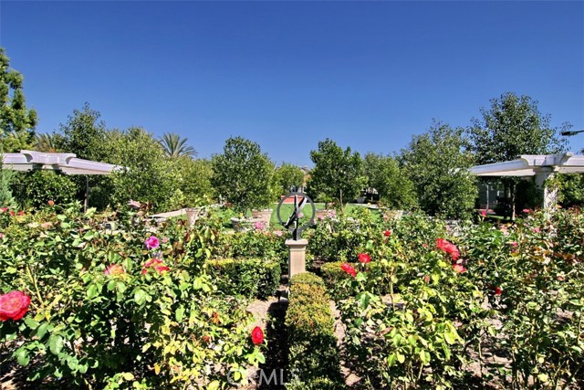 Detail Gallery Image 49 of 63 For 74 Dawnwood, Ladera Ranch,  CA 92694 - 4 Beds | 2/1 Baths