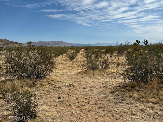 Detail Gallery Image 20 of 32 For 0 Japatul Rd, Apple Valley,  CA 92307 - – Beds | – Baths