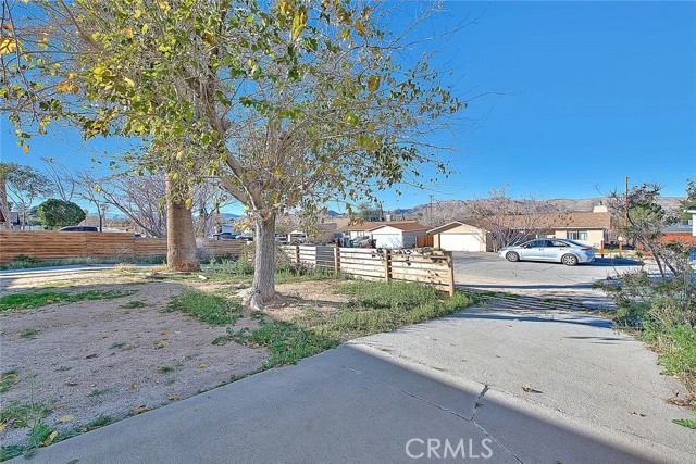 Detail Gallery Image 41 of 42 For 61673 Palm Vista, Joshua Tree,  CA 92252 - 2 Beds | 1 Baths