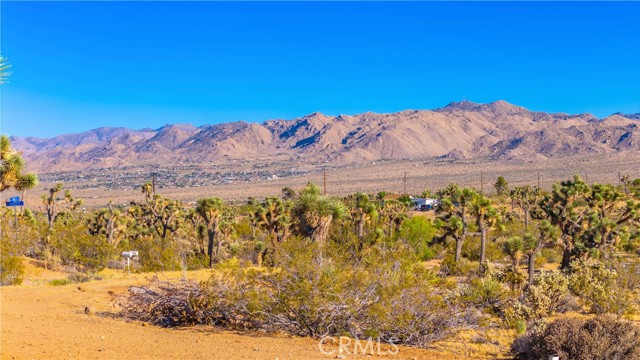 Detail Gallery Image 52 of 75 For 58871 Meredith Ct, Yucca Valley,  CA 92284 - 3 Beds | 2 Baths