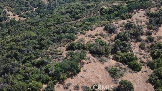 Detail Gallery Image 9 of 9 For 15 Acres, Miramonte,  CA 93641 - – Beds | – Baths