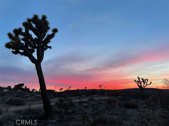 0 La Brisa Drive, Yucca Valley, California 92284, ,Land,For Sale,0 La Brisa Drive,CRJT24007447