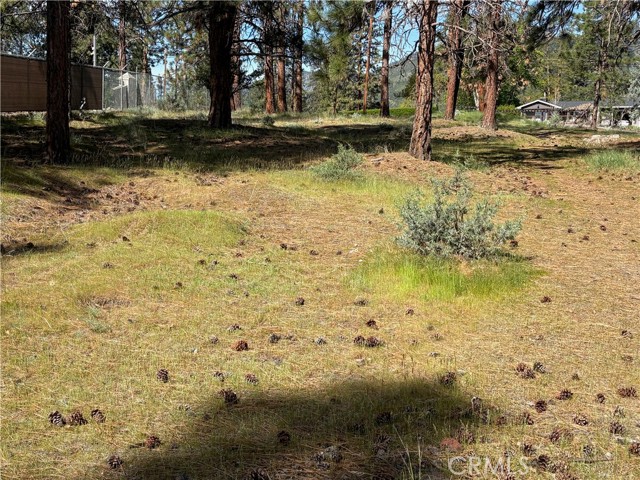 Image 17 of 54 For 0 S Lang Way