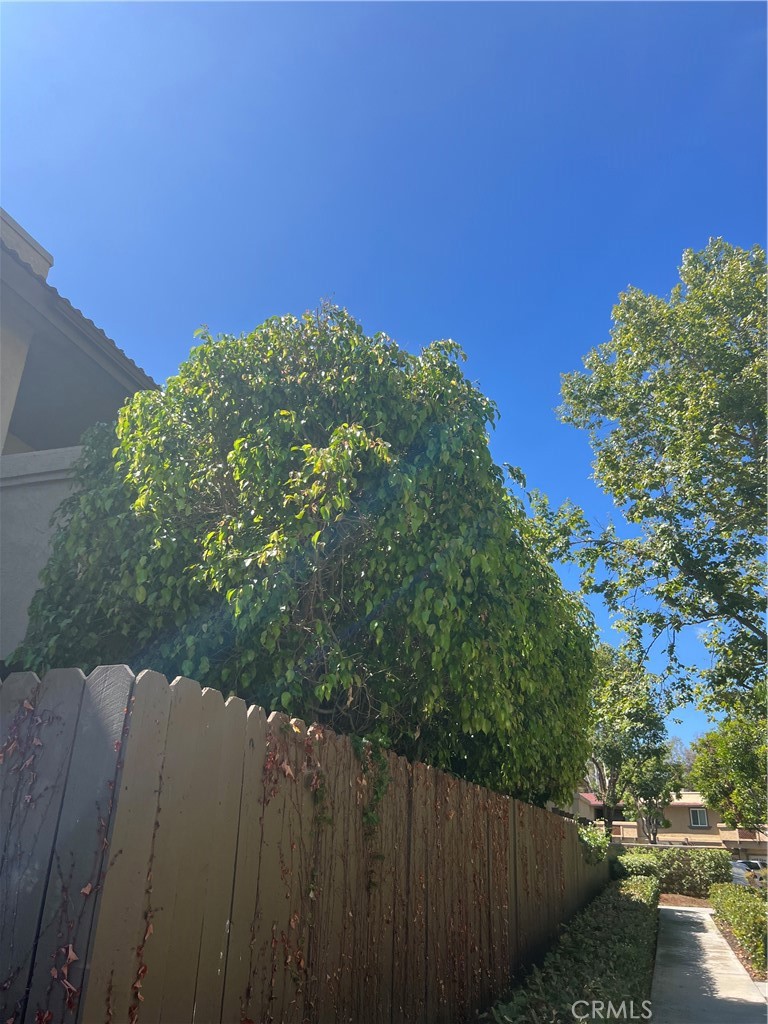 A15b73bf 7ee3 4ed7 903a B02c815232a3