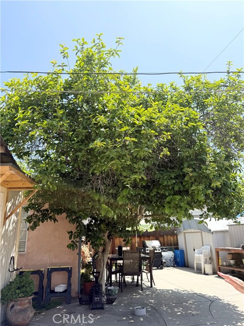 516 N Brand Boulevard, San Fernando CA: https://media.crmls.org/medias/a15cd2c3-26b0-42e0-b007-bdfe9a9f15f6.jpg