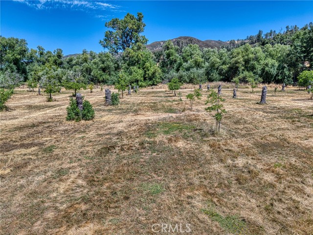 Detail Gallery Image 18 of 31 For 1286 Pitney Ln, Upper Lake,  CA 95485 - – Beds | – Baths