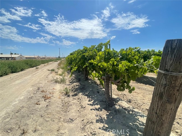 Detail Gallery Image 6 of 13 For 1 S Plumas Ave, Kerman,  CA 93630 - – Beds | – Baths