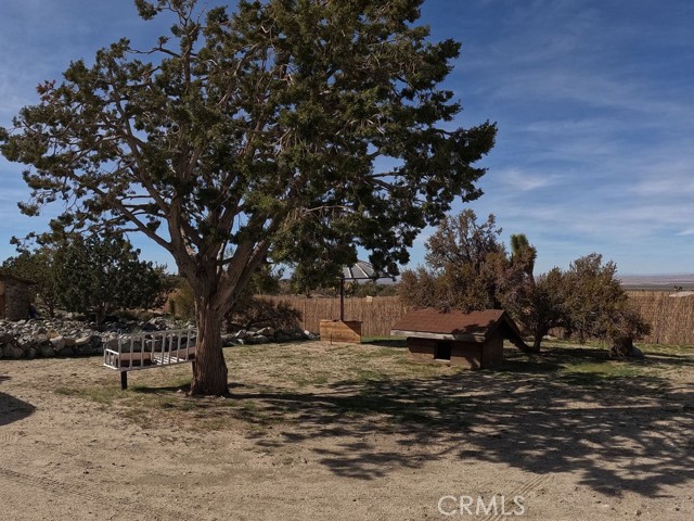 Detail Gallery Image 21 of 67 For 30000 Buchannon Ranch Rd, Llano,  CA 93544 - 3 Beds | 2 Baths