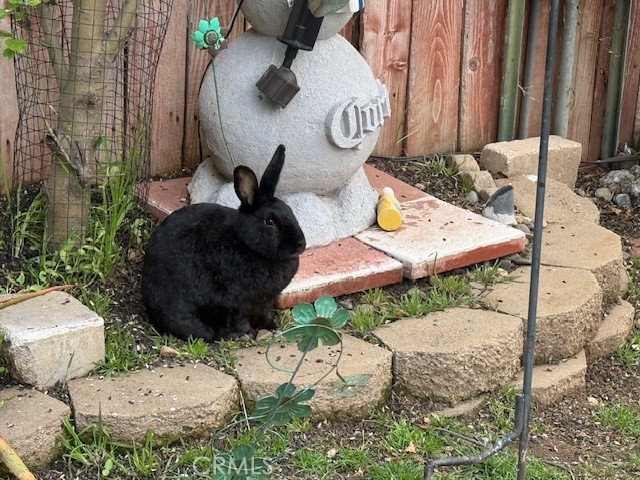 Detail Gallery Image 13 of 26 For 27135 Cabrera, Saugus,  CA 91350 - 4 Beds | 2 Baths