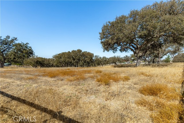Detail Gallery Image 74 of 75 For 1630 Cumbre Rd, Paso Robles,  CA 93446 - 3 Beds | 4/1 Baths