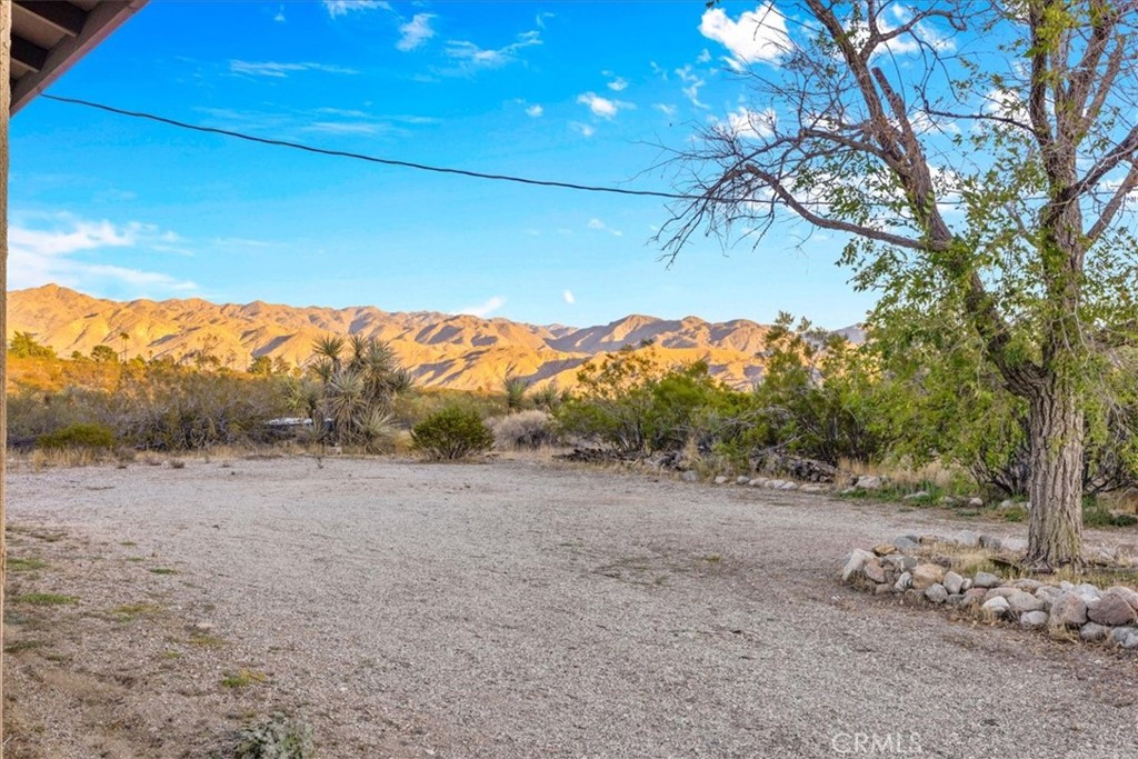 MLS #JT25260931 image #4