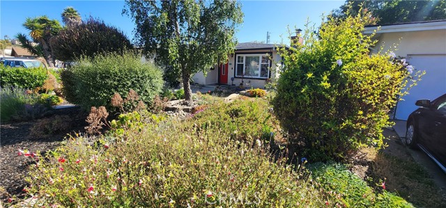 532 Arroyo Avenue, Arroyo Grande CA: https://media.crmls.org/medias/a174cb6d-2624-4e0b-b074-eab3bbc1a9ea.jpg