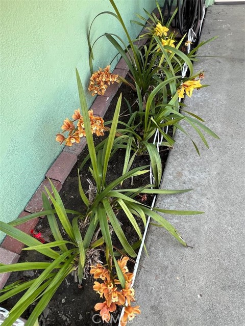 Detail Gallery Image 33 of 35 For 8320 Orange, Pico Rivera,  CA 90660 - 3 Beds | 2 Baths