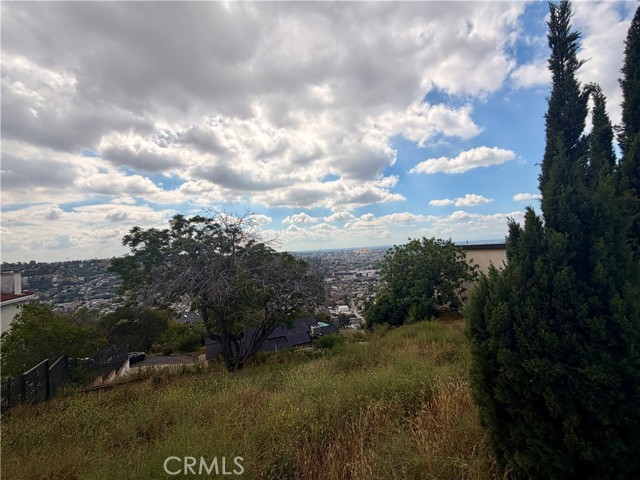 Detail Gallery Image 6 of 10 For 621 Etta St, Mount Washington,  CA 90065 - – Beds | – Baths