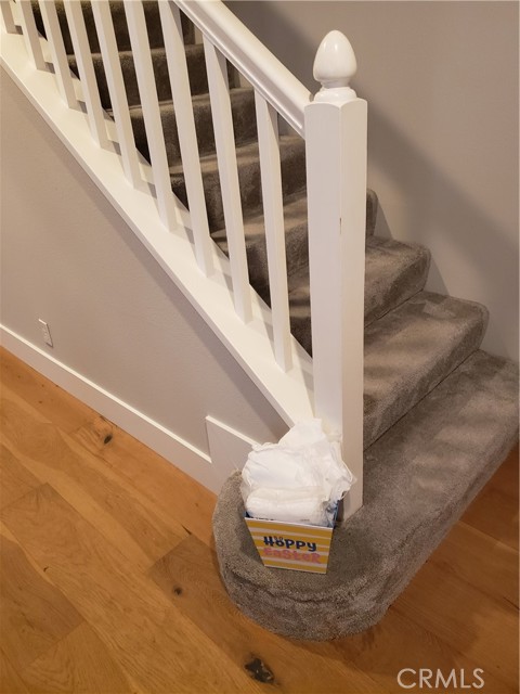 Detail Gallery Image 6 of 50 For 2447 Oneida St #2,  Pasadena,  CA 91107 - 3 Beds | 2/1 Baths