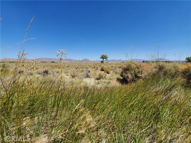 Detail Gallery Image 13 of 22 For 32500 California 18 Hwy, Lucerne Valley,  CA 92356 - – Beds | – Baths