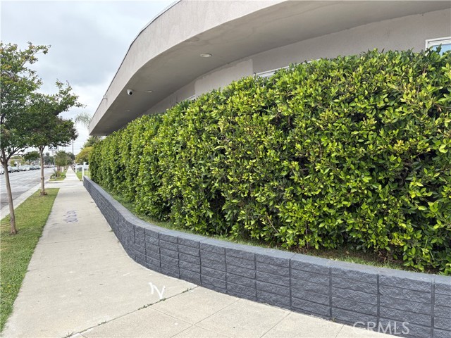 Side of the Building