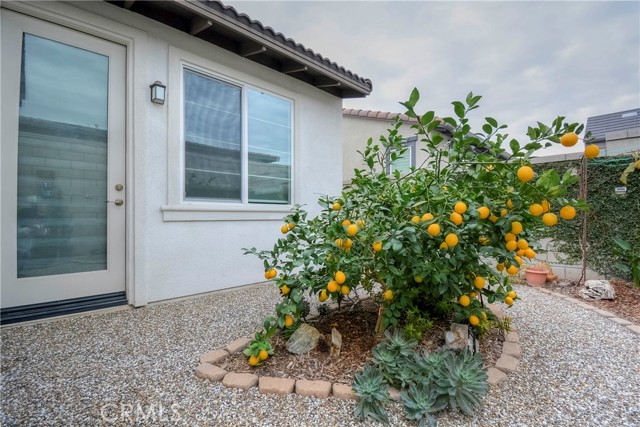 Detail Gallery Image 42 of 65 For 4165 E Salida Privado, Ontario,  CA 91761 - 2 Beds | 2 Baths