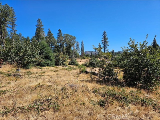 1533 Forest Service Rd, Paradise CA: https://media.crmls.org/medias/a19b0e8d-49bb-4732-bdf4-5df2af2433ed.jpg