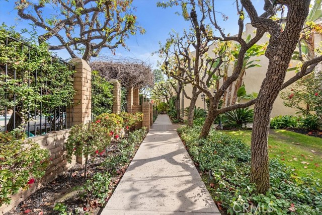 Tree lined path in the community