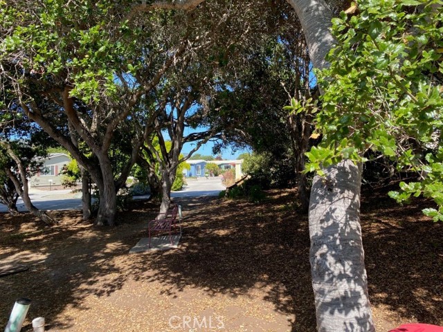 Detail Gallery Image 29 of 58 For 1595 Los Osos Valley Rd 6b,  Los Osos,  CA 93402 - 2 Beds | 2 Baths