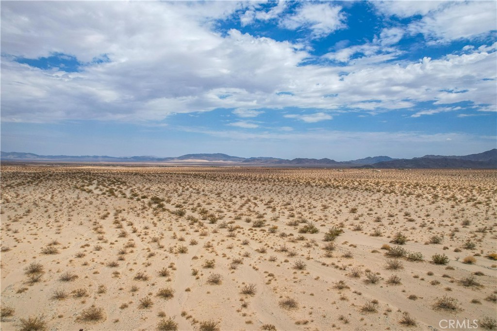 MLS #JT25081343 image #32