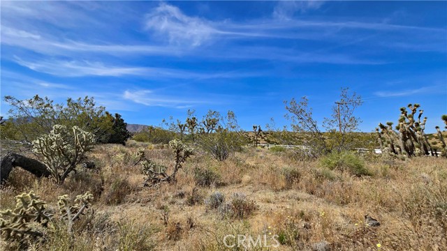 Detail Gallery Image 35 of 49 For 0 103rd St East Vicinity W14, –,  CA 93543 - – Beds | – Baths