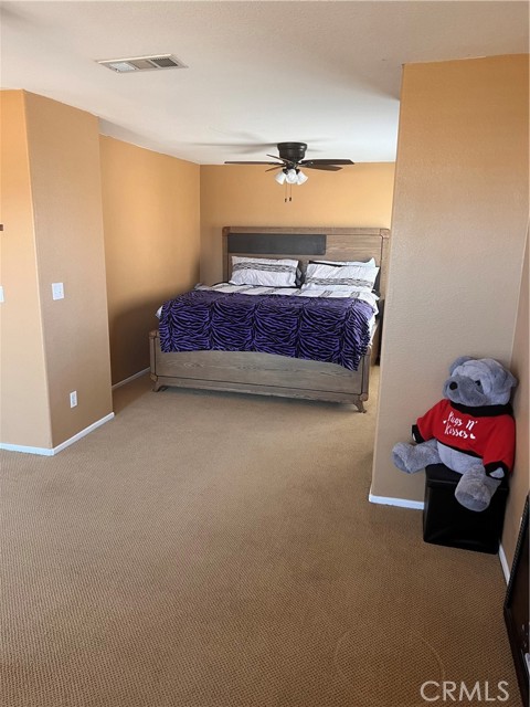 owner suite view