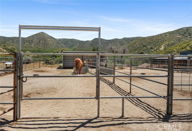 Detail Gallery Image 22 of 50 For 28896 Bootlegger Canyon Rd, Acton,  CA 93510 - 3 Beds | 2 Baths