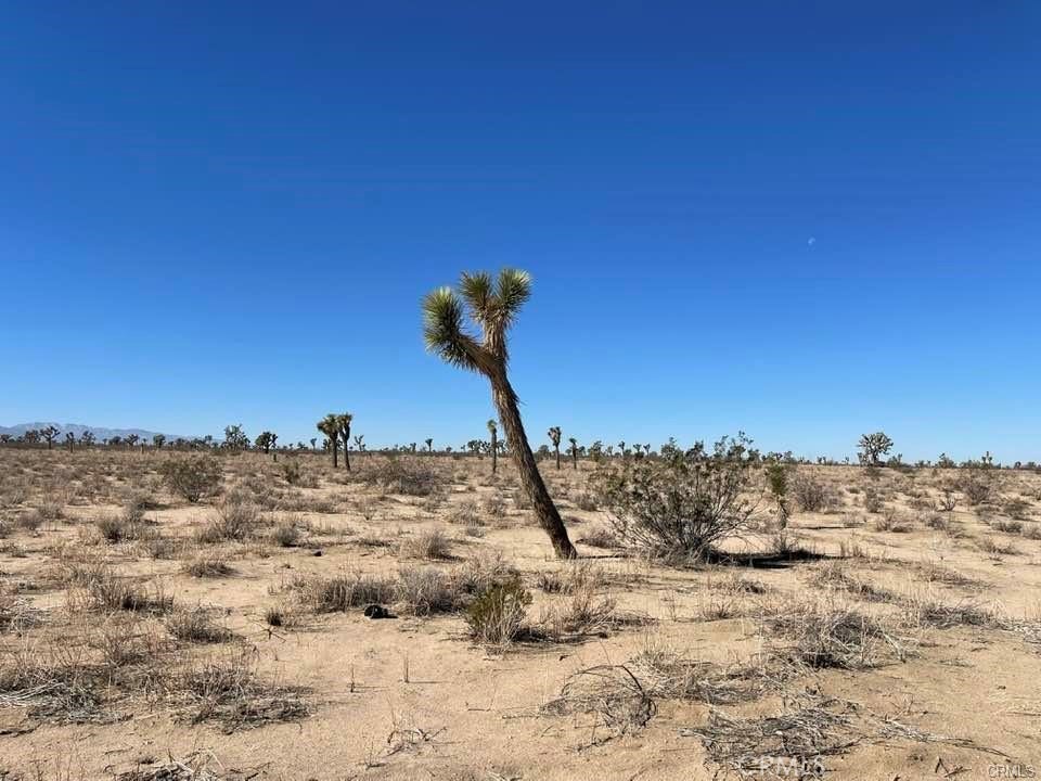 MLS #HD25000657 image #22