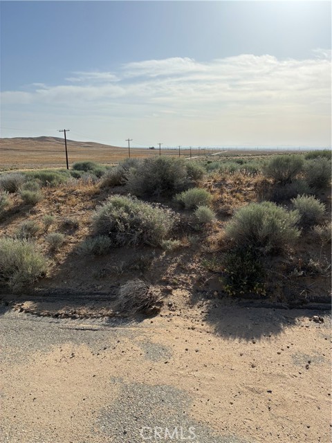 Front Image Thumbnail for CRPW26084508