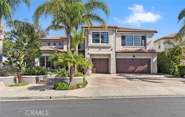 1006 S Sunstream Ln, Anaheim Hills, CA 92808