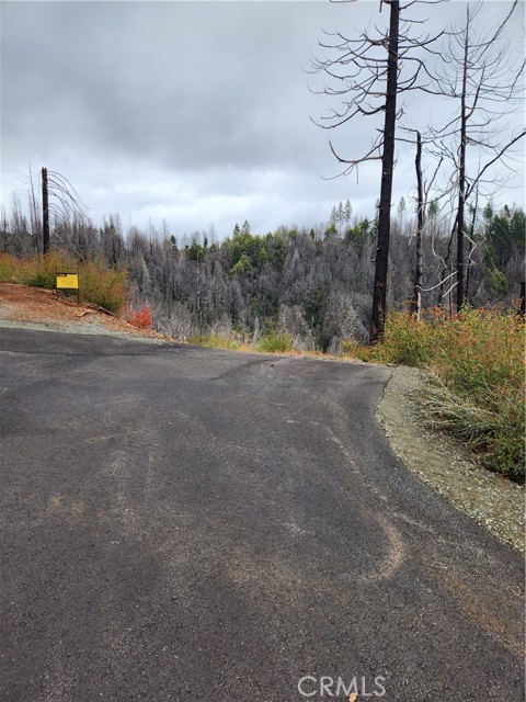 Front Image Thumbnail for CROR25229687