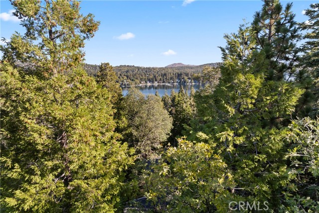 Detail Gallery Image 35 of 56 For 309 Castle Gate Rd, Lake Arrowhead,  CA 92352 - 4 Beds | 3 Baths