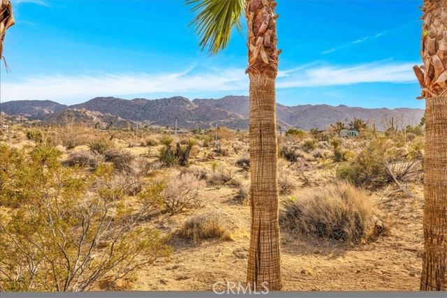 7423 Juniper Road, Joshua Tree CA: https://media.crmls.org/medias/a1b81037-3337-4279-8419-bc4d13036b7c.jpg