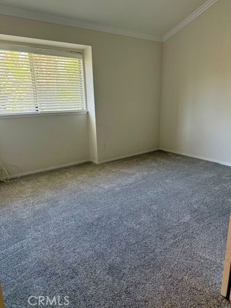 Detail Gallery Image 19 of 35 For 408 N Catalina #6,  Pasadena,  CA 91106 - 2 Beds | 1/1 Baths