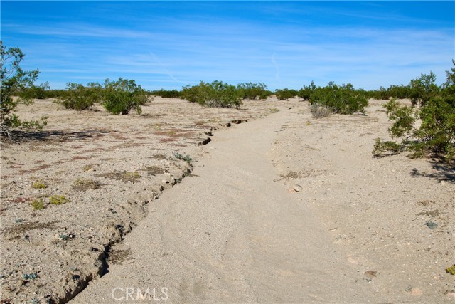 Detail Gallery Image 14 of 20 For 63305 Ranier Rd, Joshua Tree,  CA 92252 - – Beds | – Baths