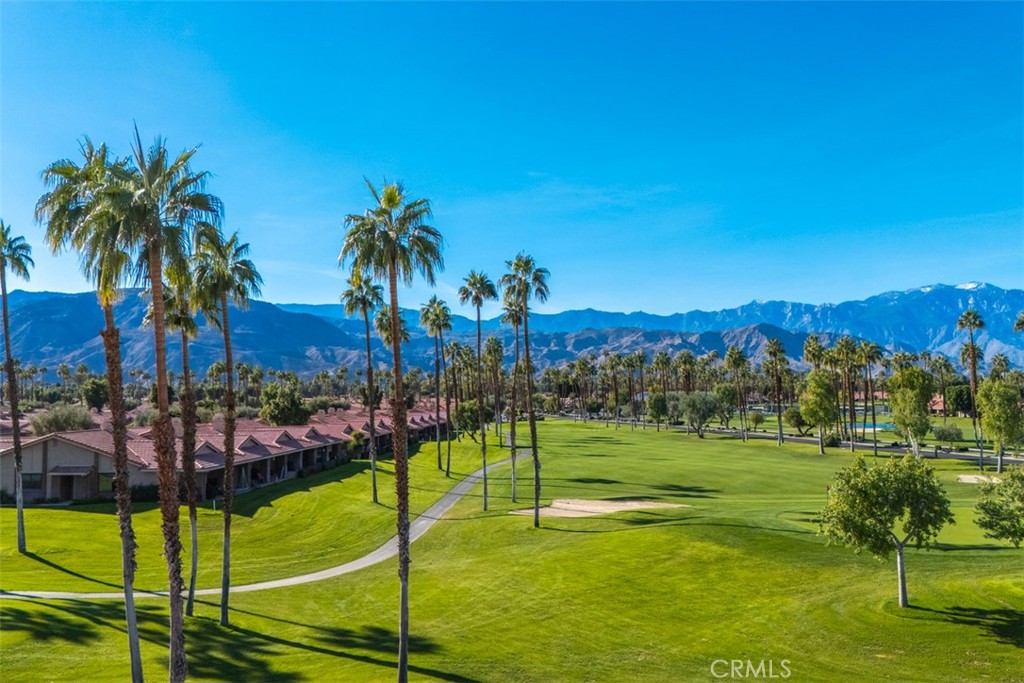 MLS #JT25269742 image #6