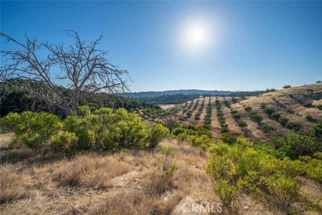 Image 65 of 73 For 6255 Peachy Canyon Road