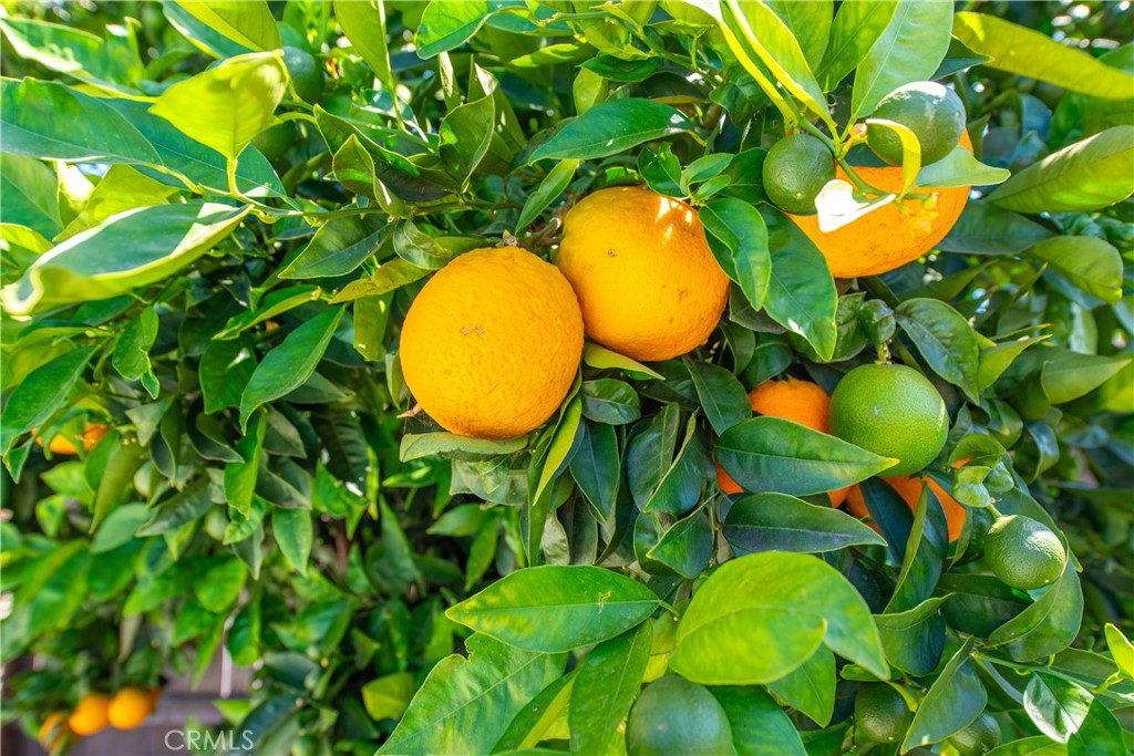 https://media.crmls.org/medias/a1cfa8bc-3766-4a03-8cc0-f059296b19df.jpg?preset=X-Large
